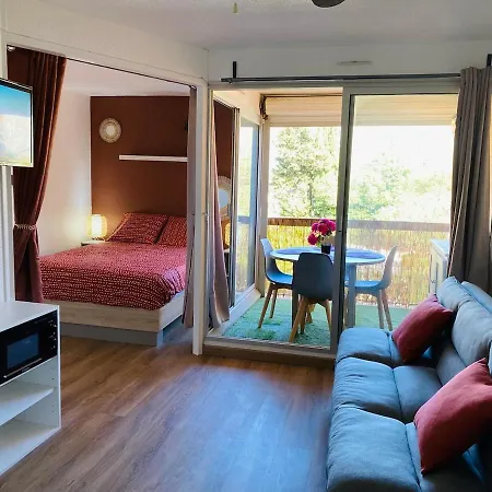 Agreable Avec Loggia, Wifi & Parking Proche * サン・シプリアン